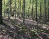 1430 Sand Bank Road, Masontown, West Virginia 26542, ,Lots/land,For Sale,Sand Bank,10157629