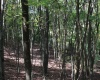 1430 Sand Bank Road, Masontown, West Virginia 26542, ,Lots/land,For Sale,Sand Bank,10157629