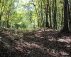 1430 Sand Bank Road, Masontown, West Virginia 26542, ,Lots/land,For Sale,Sand Bank,10157629