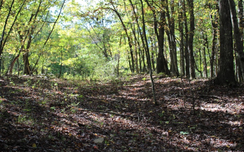 1430 Sand Bank Road, Masontown, West Virginia 26542, ,Lots/land,For Sale,Sand Bank,10157629
