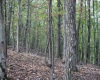 1430 Sand Bank Road, Masontown, West Virginia 26542, ,Lots/land,For Sale,Sand Bank,10157629