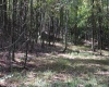 1429 Sand Bank Road, Masontown, West Virginia 26542, ,Lots/land,For Sale,Sand Bank,10157630