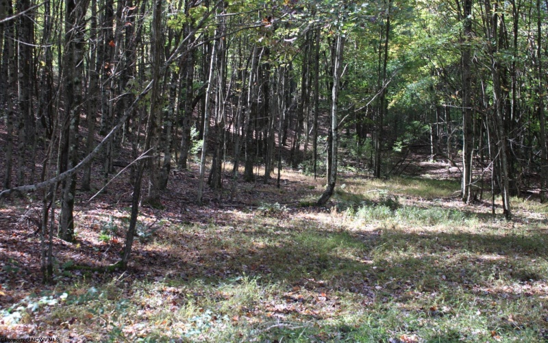 1429 Sand Bank Road, Masontown, West Virginia 26542, ,Lots/land,For Sale,Sand Bank,10157630