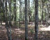 1429 Sand Bank Road, Masontown, West Virginia 26542, ,Lots/land,For Sale,Sand Bank,10157630