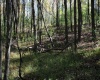 1429 Sand Bank Road, Masontown, West Virginia 26542, ,Lots/land,For Sale,Sand Bank,10157630