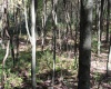 1429 Sand Bank Road, Masontown, West Virginia 26542, ,Lots/land,For Sale,Sand Bank,10157630