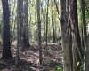 1429 Sand Bank Road, Masontown, West Virginia 26542, ,Lots/land,For Sale,Sand Bank,10157630
