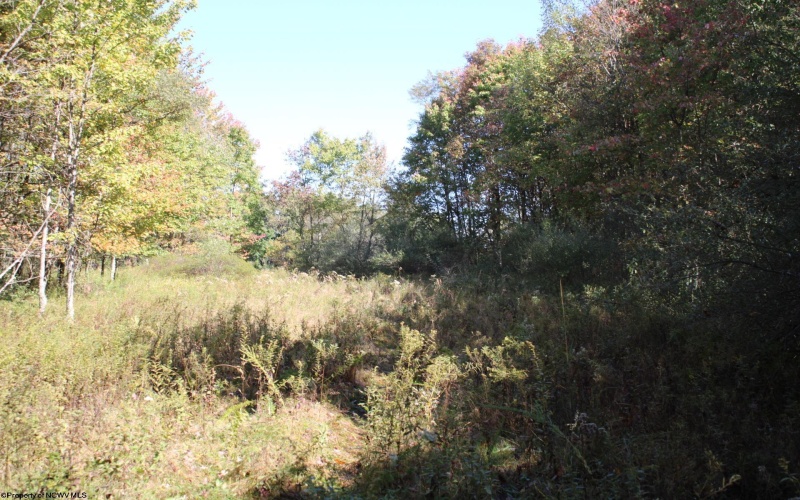 1429 Sand Bank Road, Masontown, West Virginia 26542, ,Lots/land,For Sale,Sand Bank,10157630