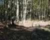 1429 Sand Bank Road, Masontown, West Virginia 26542, ,Lots/land,For Sale,Sand Bank,10157630