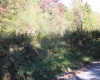 1429 Sand Bank Road, Masontown, West Virginia 26542, ,Lots/land,For Sale,Sand Bank,10157630