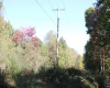 1429 Sand Bank Road, Masontown, West Virginia 26542, ,Lots/land,For Sale,Sand Bank,10157630