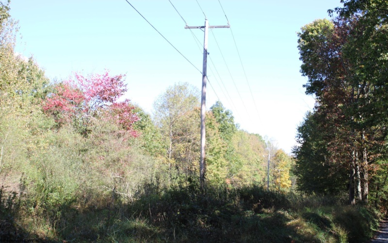 1429 Sand Bank Road, Masontown, West Virginia 26542, ,Lots/land,For Sale,Sand Bank,10157630