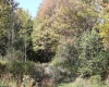 1429 Sand Bank Road, Masontown, West Virginia 26542, ,Lots/land,For Sale,Sand Bank,10157630