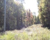 1429 Sand Bank Road, Masontown, West Virginia 26542, ,Lots/land,For Sale,Sand Bank,10157630