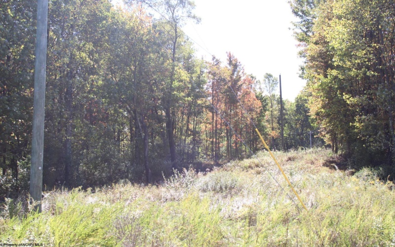 1429 Sand Bank Road, Masontown, West Virginia 26542, ,Lots/land,For Sale,Sand Bank,10157630