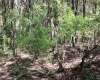 1429 Sand Bank Road, Masontown, West Virginia 26542, ,Lots/land,For Sale,Sand Bank,10157630