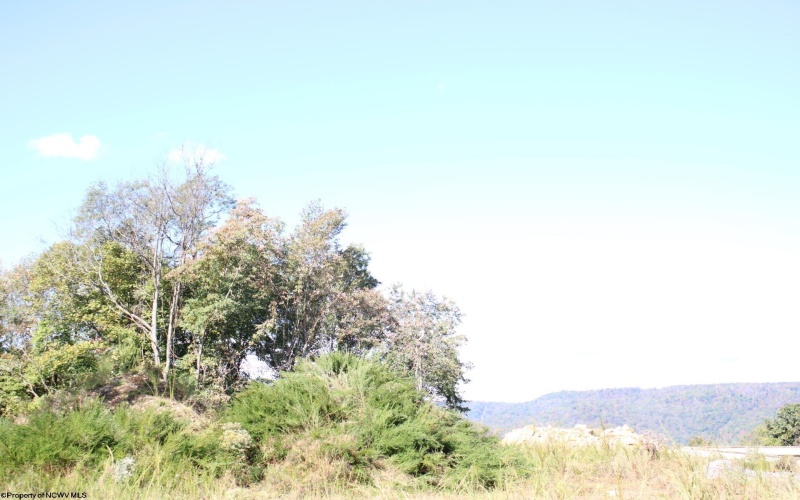 1429 Sand Bank Road, Masontown, West Virginia 26542, ,Lots/land,For Sale,Sand Bank,10157630