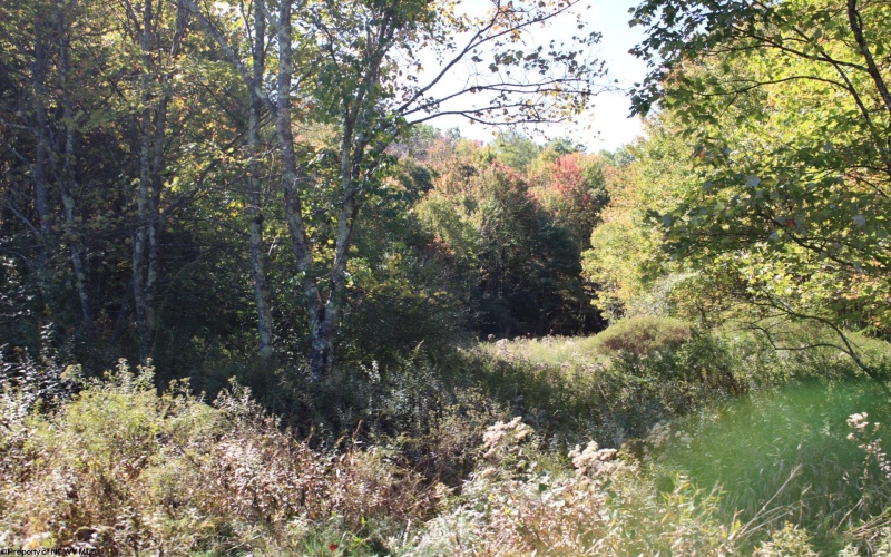 1429 Sand Bank Road, Masontown, West Virginia 26542, ,Lots/land,For Sale,Sand Bank,10157630