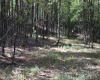 1429 Sand Bank Road, Masontown, West Virginia 26542, ,Lots/land,For Sale,Sand Bank,10157630