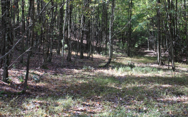 1429 Sand Bank Road, Masontown, West Virginia 26542, ,Lots/land,For Sale,Sand Bank,10157630
