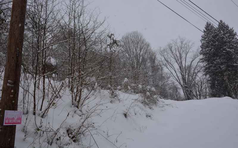 114 Montgomery Road, Weston, West Virginia 26452, ,Lots/land,For Sale,Montgomery,10157670