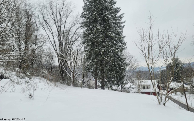 114 Montgomery Road, Weston, West Virginia 26452, ,Lots/land,For Sale,Montgomery,10157670