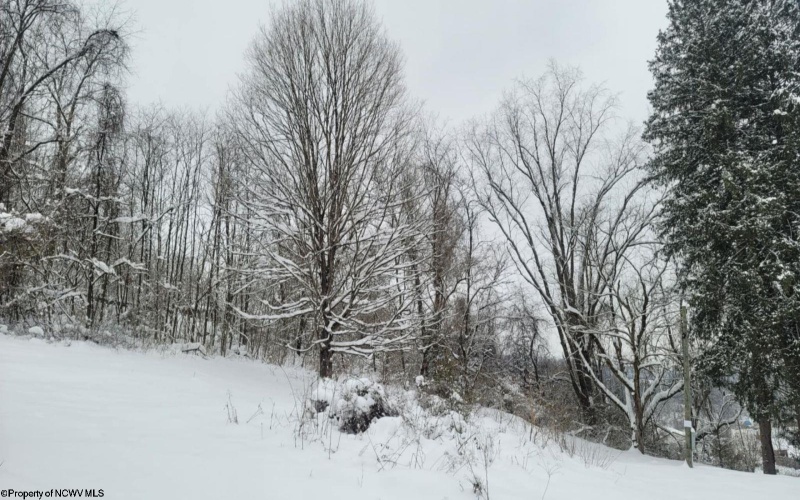 114 Montgomery Road, Weston, West Virginia 26452, ,Lots/land,For Sale,Montgomery,10157670