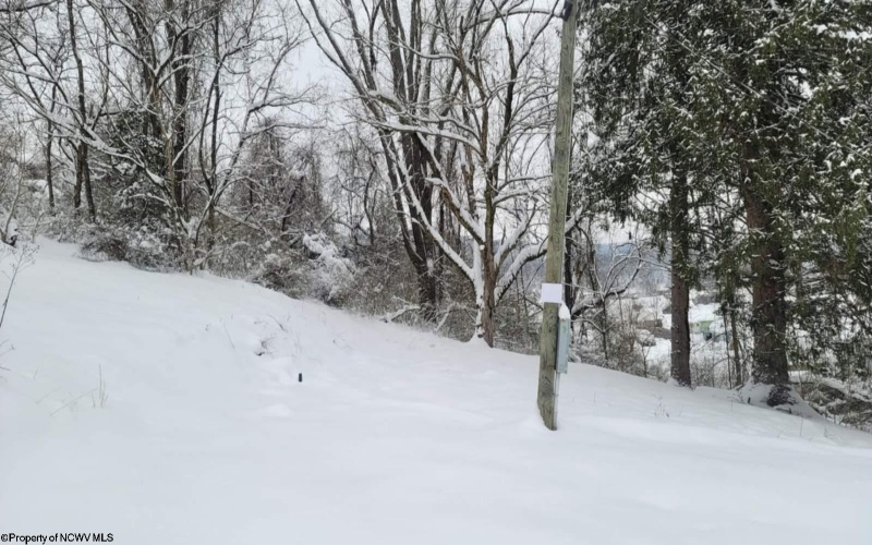 114 Montgomery Road, Weston, West Virginia 26452, ,Lots/land,For Sale,Montgomery,10157670