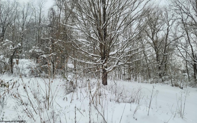 114 Montgomery Road, Weston, West Virginia 26452, ,Lots/land,For Sale,Montgomery,10157670