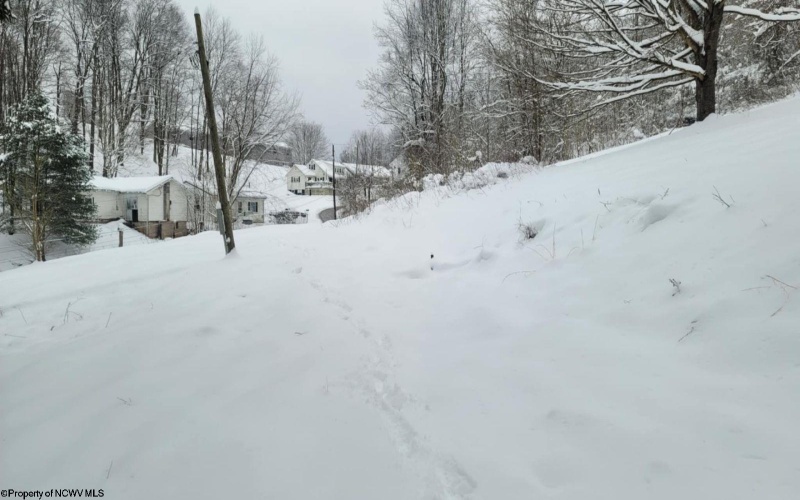114 Montgomery Road, Weston, West Virginia 26452, ,Lots/land,For Sale,Montgomery,10157670