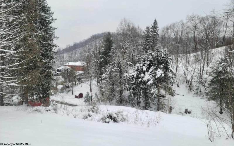 114 Montgomery Road, Weston, West Virginia 26452, ,Lots/land,For Sale,Montgomery,10157670