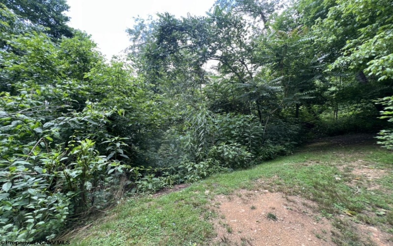 TBD Sarah Street, Morgantown, West Virginia 26501, ,Lots/land,For Sale,Sarah,10157681