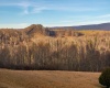 21 Falling Rock Road, Bowden, West Virginia 26254, ,Lots/land,For Sale,Falling Rock,10157714