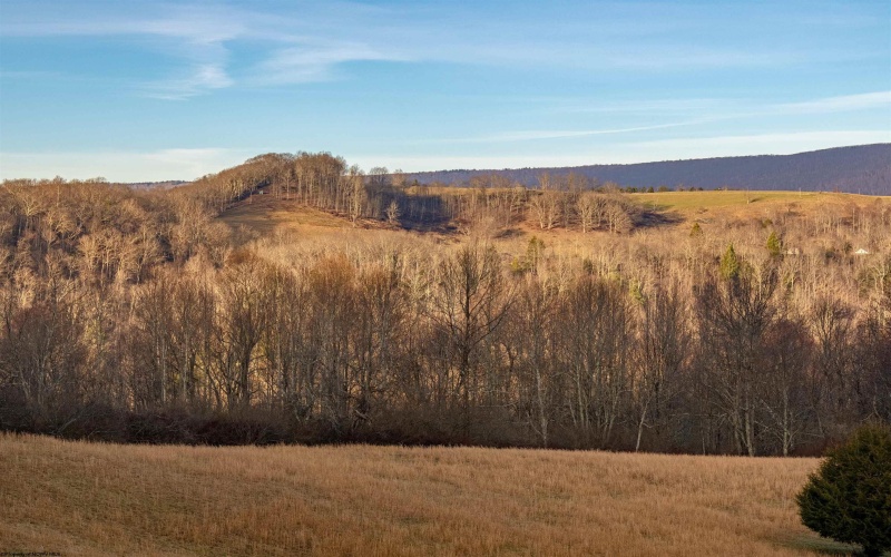 21 Falling Rock Road, Bowden, West Virginia 26254, ,Lots/land,For Sale,Falling Rock,10157714