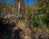 TBD Preston Highway, Tunnelton, West Virginia 26444, ,Lots/land,For Sale,Preston,10157721