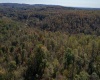 TBD Preston Highway, Tunnelton, West Virginia 26444, ,Lots/land,For Sale,Preston,10157721