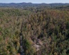 TBD Preston Highway, Tunnelton, West Virginia 26444, ,Lots/land,For Sale,Preston,10157721
