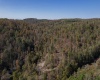 TBD Preston Highway, Tunnelton, West Virginia 26444, ,Lots/land,For Sale,Preston,10157721