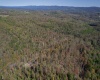 TBD Preston Highway, Tunnelton, West Virginia 26444, ,Lots/land,For Sale,Preston,10157721