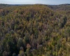 TBD Preston Highway, Tunnelton, West Virginia 26444, ,Lots/land,For Sale,Preston,10157721