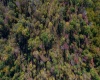 TBD Preston Highway, Tunnelton, West Virginia 26444, ,Lots/land,For Sale,Preston,10157721