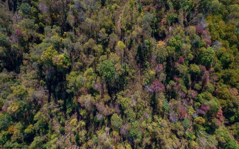 TBD Preston Highway, Tunnelton, West Virginia 26444, ,Lots/land,For Sale,Preston,10157721