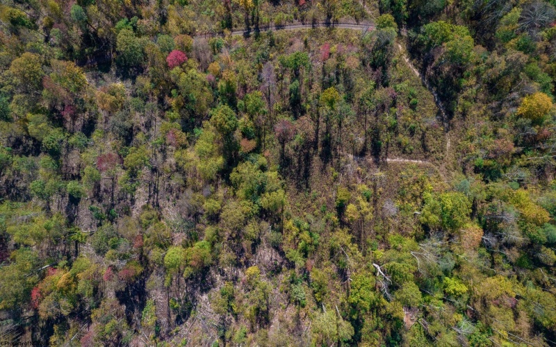 TBD Preston Highway, Tunnelton, West Virginia 26444, ,Lots/land,For Sale,Preston,10157721