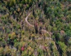 TBD Preston Highway, Tunnelton, West Virginia 26444, ,Lots/land,For Sale,Preston,10157721
