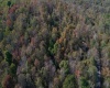 TBD Preston Highway, Tunnelton, West Virginia 26444, ,Lots/land,For Sale,Preston,10157721