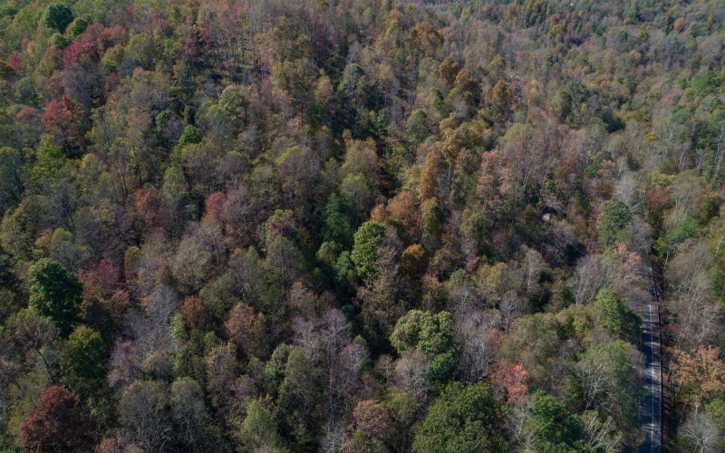 TBD Preston Highway, Tunnelton, West Virginia 26444, ,Lots/land,For Sale,Preston,10157721