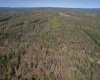 TBD Preston Highway, Tunnelton, West Virginia 26444, ,Lots/land,For Sale,Preston,10157721