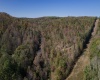 TBD Preston Highway, Tunnelton, West Virginia 26444, ,Lots/land,For Sale,Preston,10157721