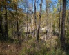 TBD Preston Highway, Tunnelton, West Virginia 26444, ,Lots/land,For Sale,Preston,10157721