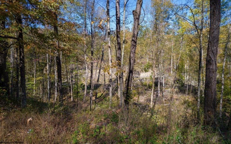 TBD Preston Highway, Tunnelton, West Virginia 26444, ,Lots/land,For Sale,Preston,10157721